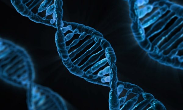La carta di identità dei viventi: il DNA