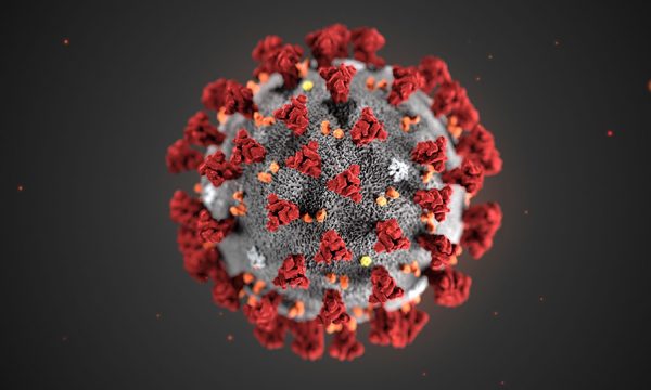 Conoscere il Coronavirus per evitare di restare intrappolati dalle Fake News
